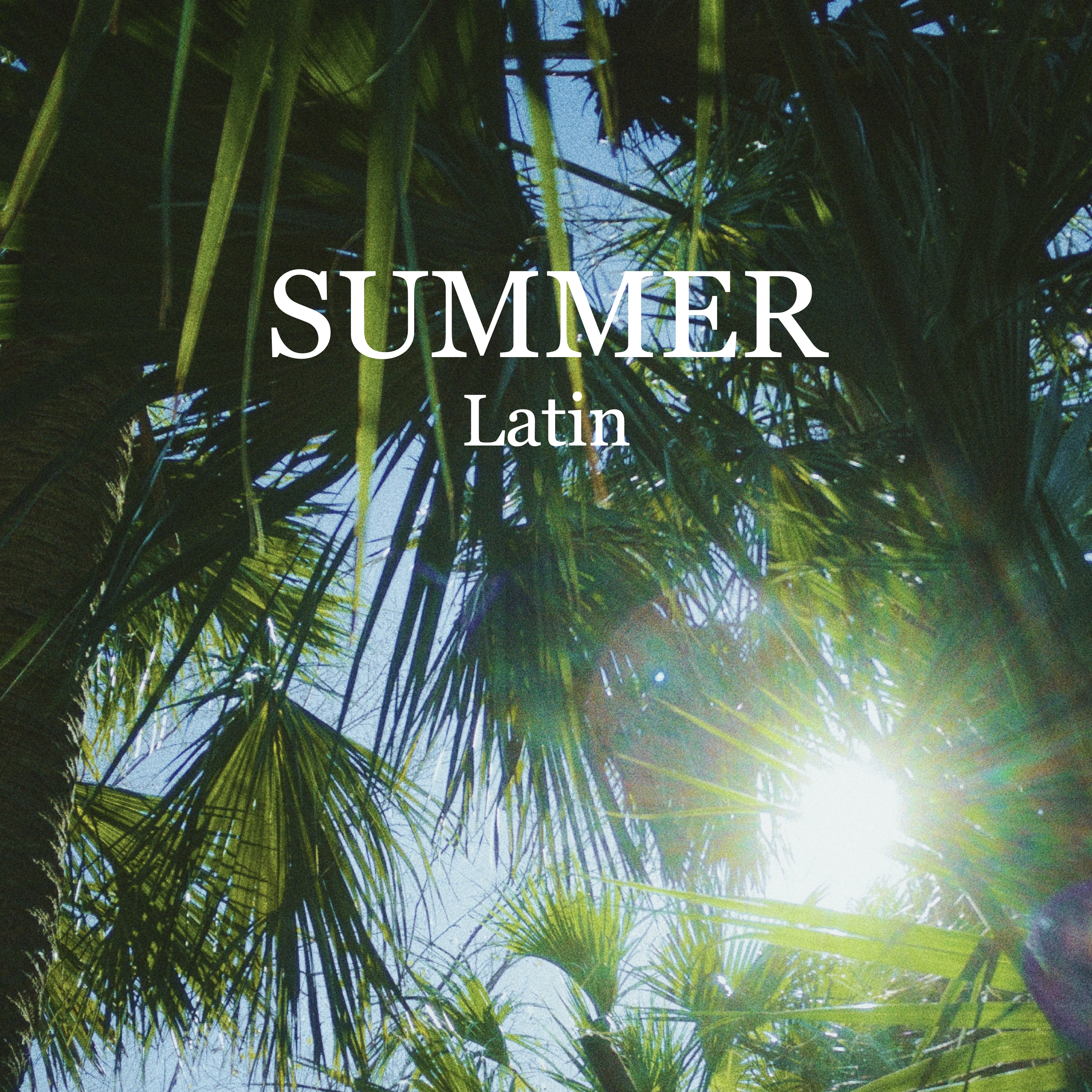 Image of 夏のラテン